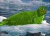 seal-picture.jpg