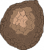 BoulderThang.png