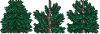 Tree_Tops_16.png
