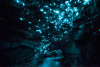 Glow-worm-cave1_2015_07_03.png