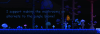 support.png