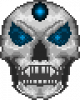 finalized sacred skull .png