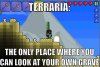 Oh terraria _ Geekly Chic _ Pinterest _ Terraria, Gaming ___.jpg