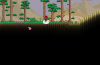 unknown.png