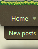 Безымянный.png