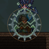 2020-02-23 17_08_28-Terraria_ The Water Fall Of Content!.png
