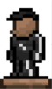 Terrarian_Tracksuit.png