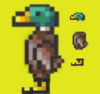 duck.PNG