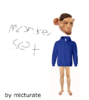 Terraria monkey set.png