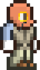 terraria_vanity_contest.png