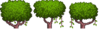 Tree_Tops_2.png