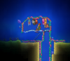 Undersea refuge 2020-07-10.png