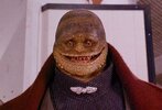 goomba.jpg