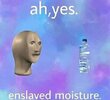 meme-ahyes-enslaved-moisture.jpg