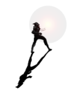 Player Silhouette.png