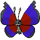 vivillon_front_red_and_blue(4).png