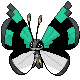 vivillon_net_ball.png