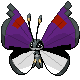 vivillon_master_ball.png