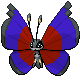 vivillon_red_and_blue.png