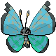 vivillon_fading (5).png