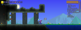 Terraria Dungeon.PNG
