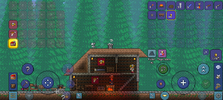 Screenshot_20211219-113847_Terraria.png