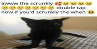 The Scrunkly.png