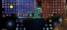 Screenshot_2022-08-02-21-53-36-707_com.and.games505.TerrariaPaid.jpg