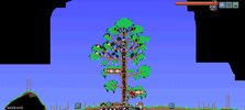 Screenshot_2022-08-16-00-55-32-464_com.and.games505.TerrariaPaid.jpg