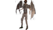 t.png