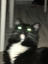 thumbnail_image.jpg