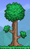 IMG_2848.png