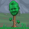 27.png