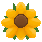 floral.png