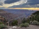 IMG_2016.jpeg
