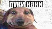 Без названия (8).jpg