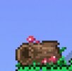Screenshot_20230728_145155_Terraria.jpg