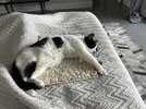 IMG_7092.jpeg