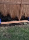 IMG_1849.jpeg
