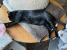 IMG_7349.jpeg