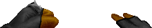 PUNGC0.png