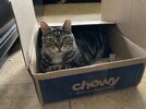 IMG_1642.jpeg