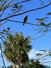 IMG_7701.jpeg