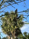 IMG_7700.jpeg