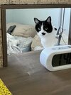 IMG_7692.jpeg