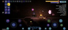 Screenshot_20231201-172437_Terraria.jpg
