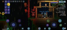 Screenshot_20231223-200325_Terraria.jpg