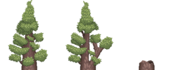 red wood leaves.png