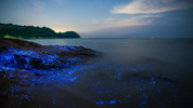 japanese_islands_4k_hd-HD.png