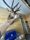 IMG_9747.jpeg